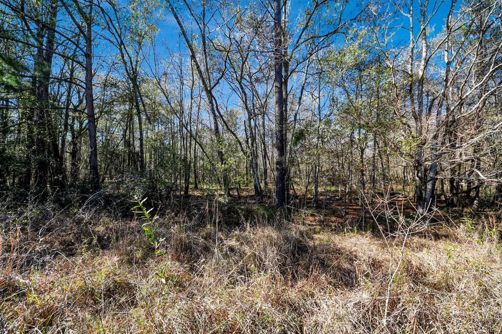 County Road 6242 Huffman, TX 77336