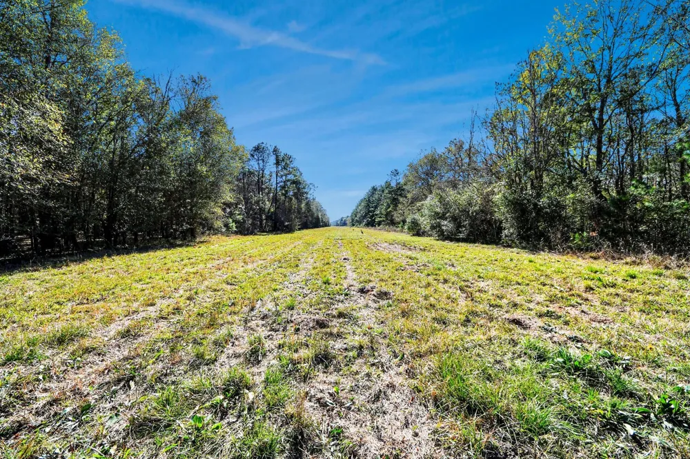 County Road 6242 Huffman, TX 77336