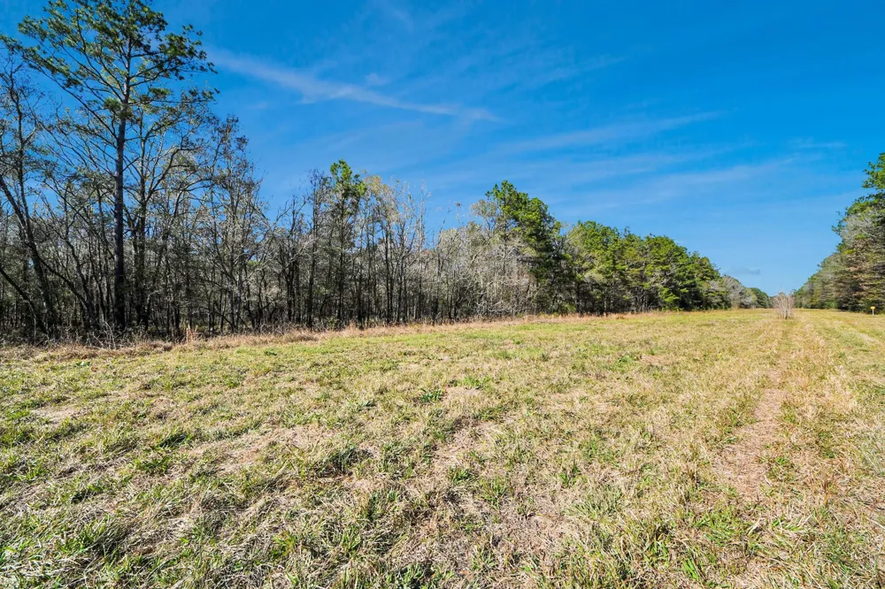 County Road 6242 Huffman, TX 77336