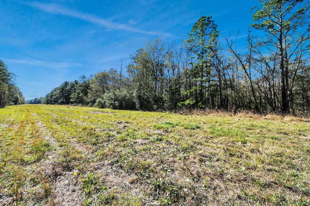 County Road 6242 Huffman, TX 77336