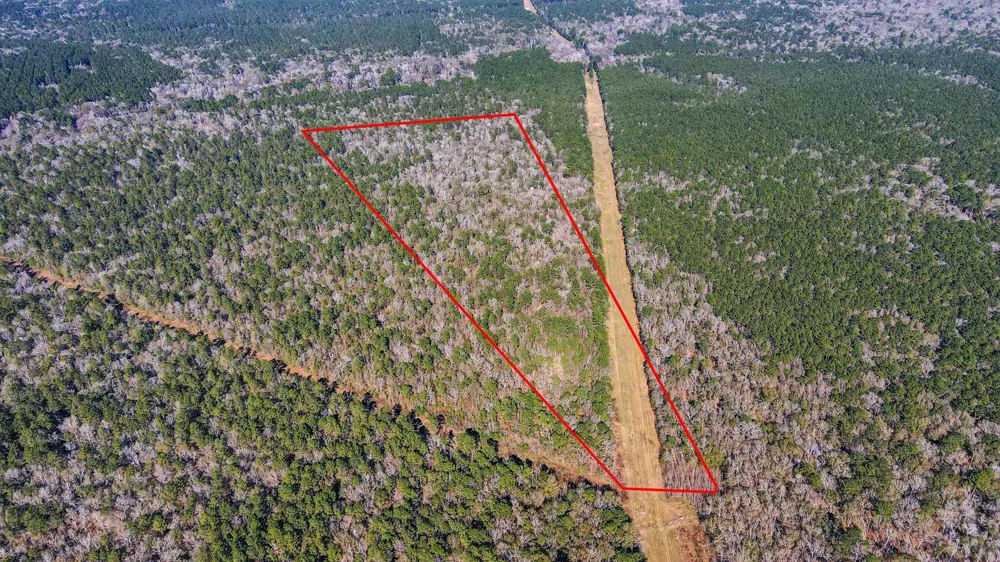 County Road 6242 Huffman, TX 77336