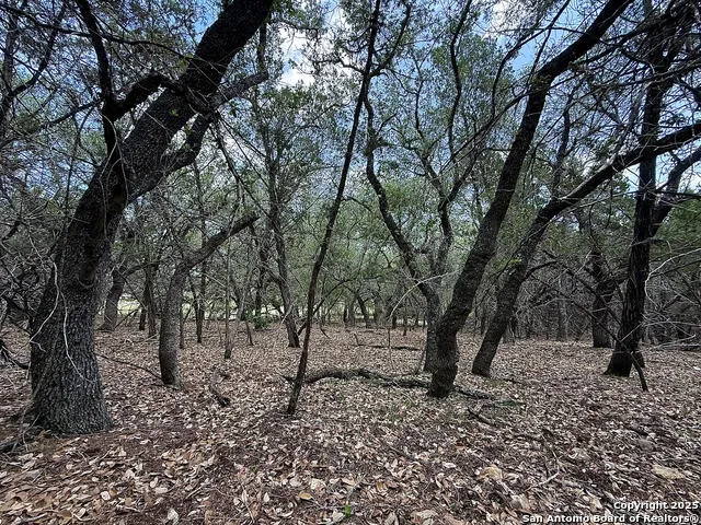 7820 VENTURA BOULEVARD Selma, TX 78154