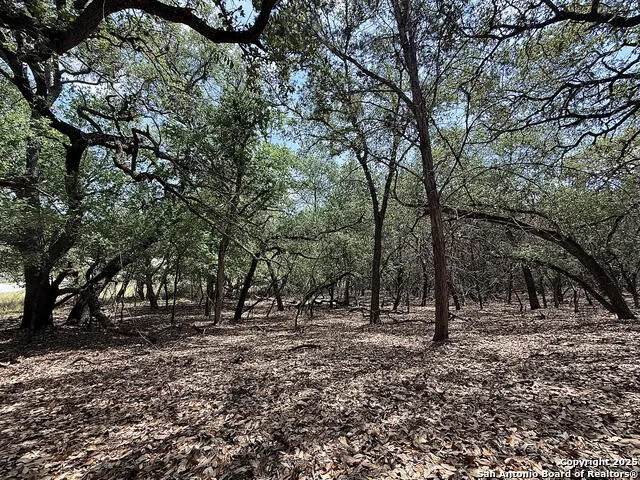 7820 VENTURA BOULEVARD Selma, TX 78154