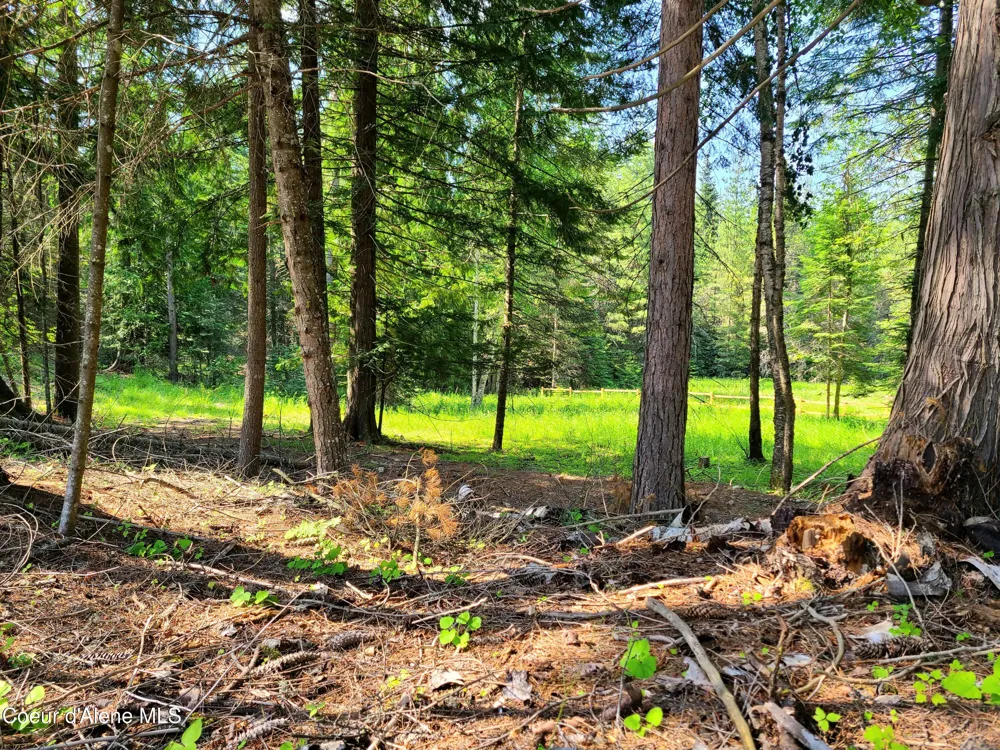 NNA Green Bay Rd - Lot 1C Sagle, ID 83860