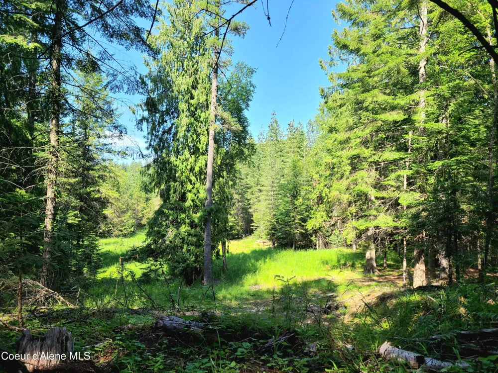 NNA Green Bay Rd - Lot 1C Sagle, ID 83860