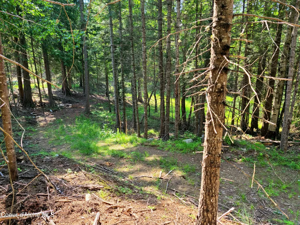 NNA Green Bay Rd - Lot 1C Sagle, ID 83860