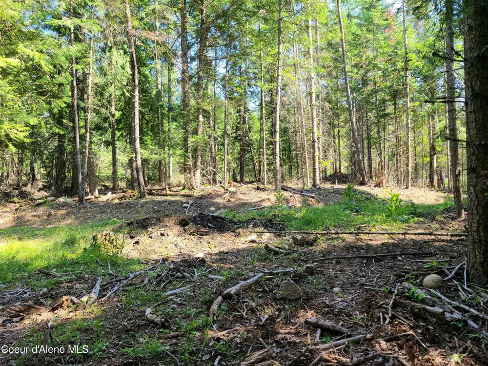 NNA Green Bay Rd - Lot 1C Sagle, ID 83860