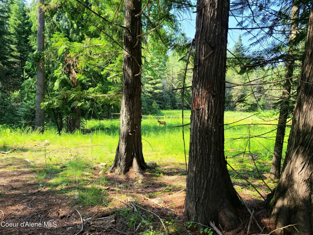 NNA Green Bay Rd - Lot 1C Sagle, ID 83860