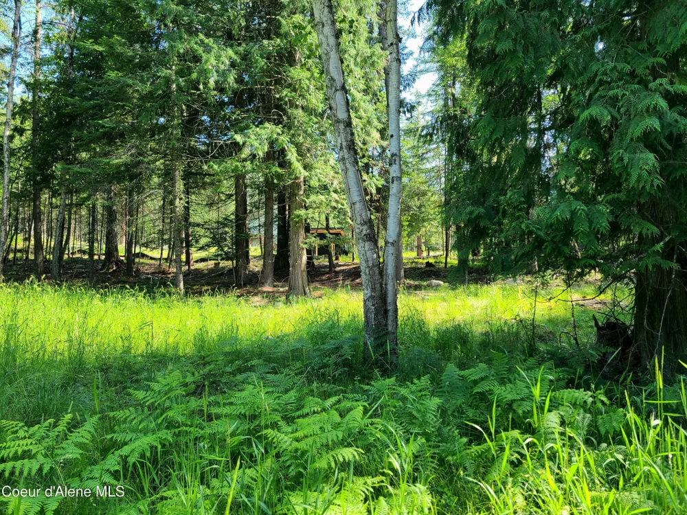 NNA Green Bay Rd - Lot 1C Sagle, ID 83860