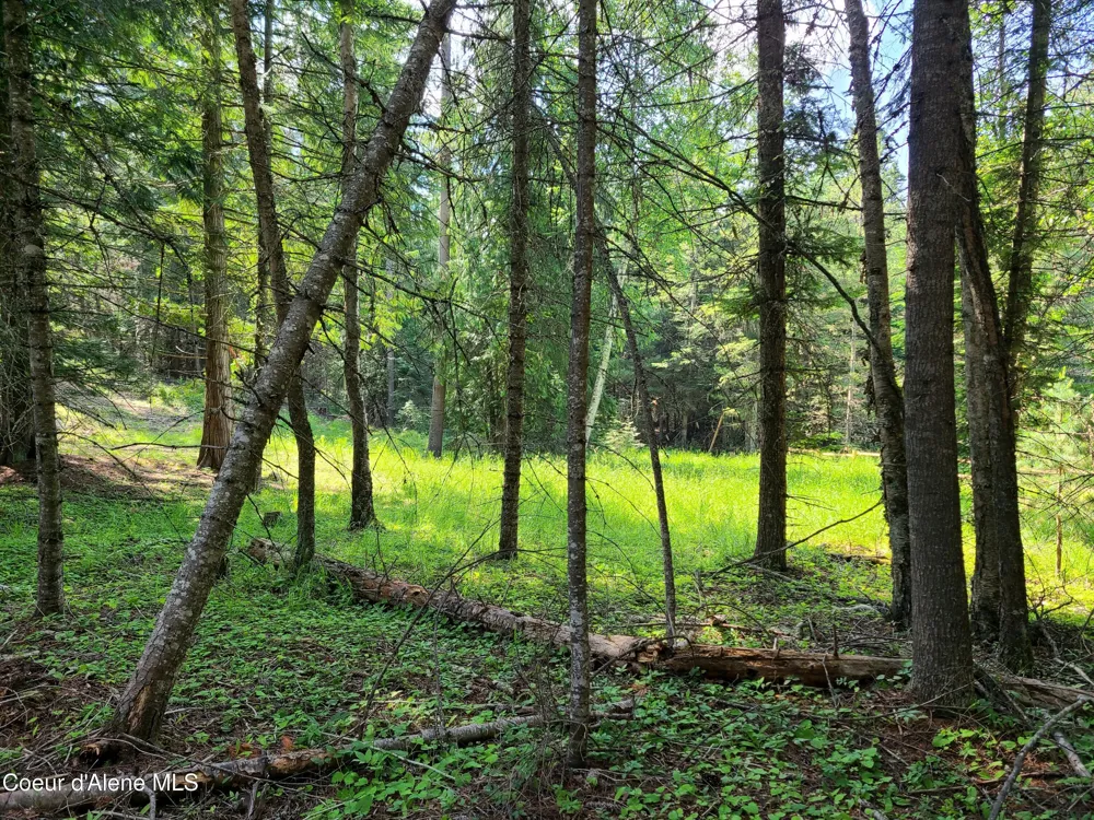 NNA Green Bay Rd - Lot 1C Sagle, ID 83860