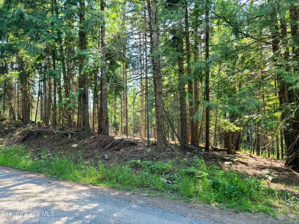 NNA Green Bay Rd - Lot 1C Sagle, ID 83860