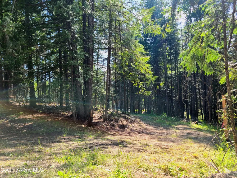 NNA Green Bay Rd - Lot 1C Sagle, ID 83860