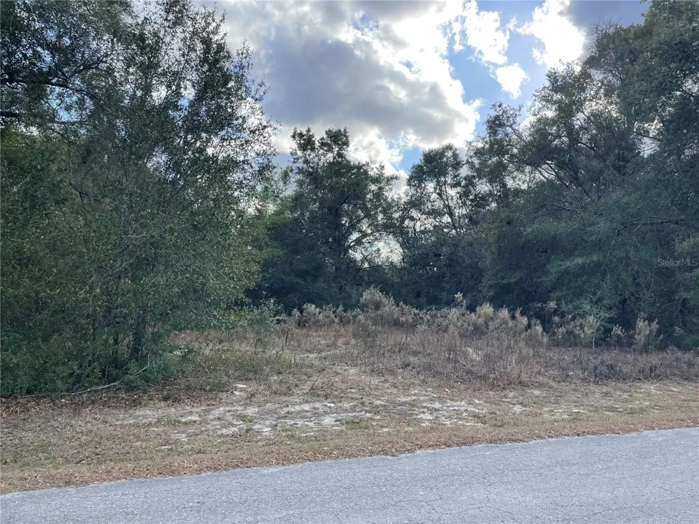 3798 E TULIPWOOD LANE Hernando, FL 34442