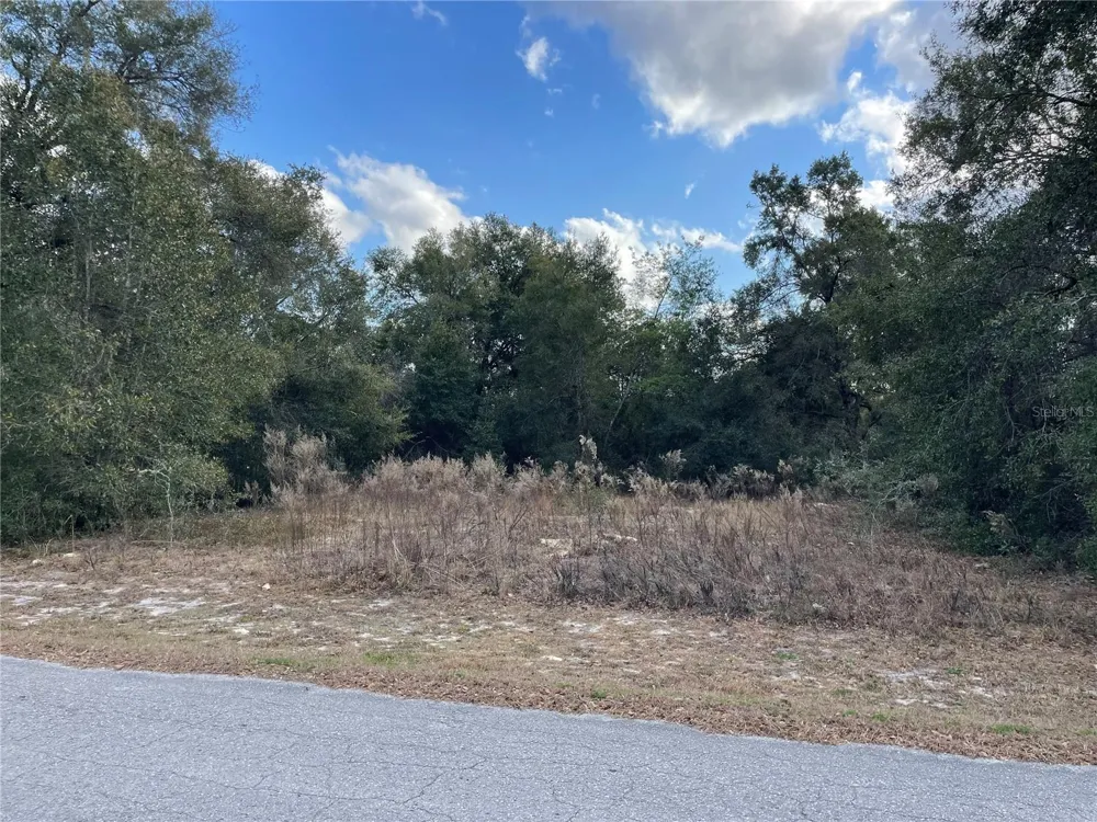 3798 E TULIPWOOD LANE Hernando, FL 34442
