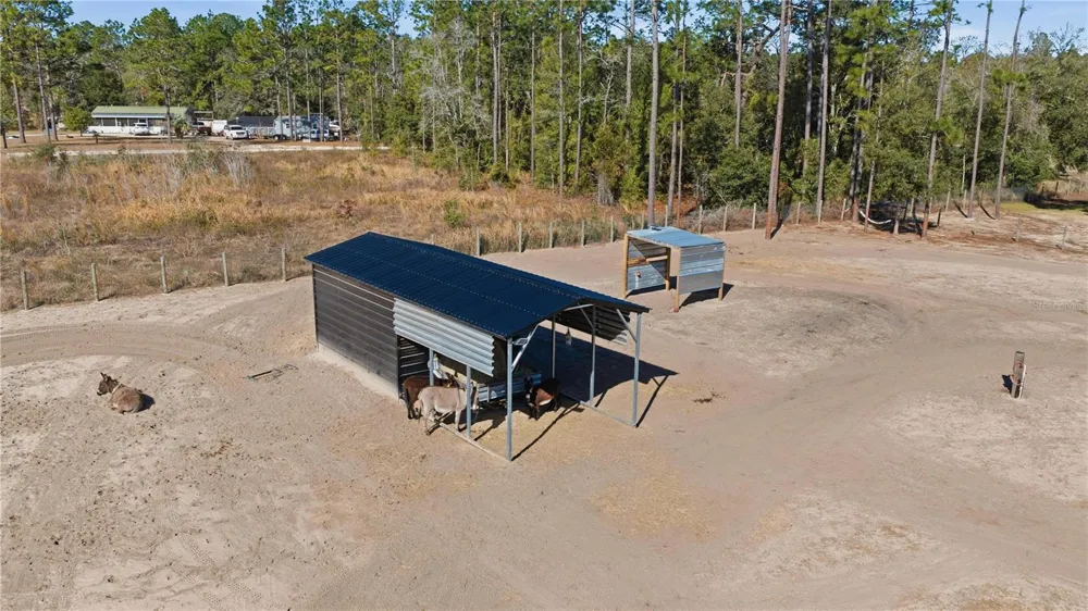 13920 NE 6TH STREET Williston, FL 32696