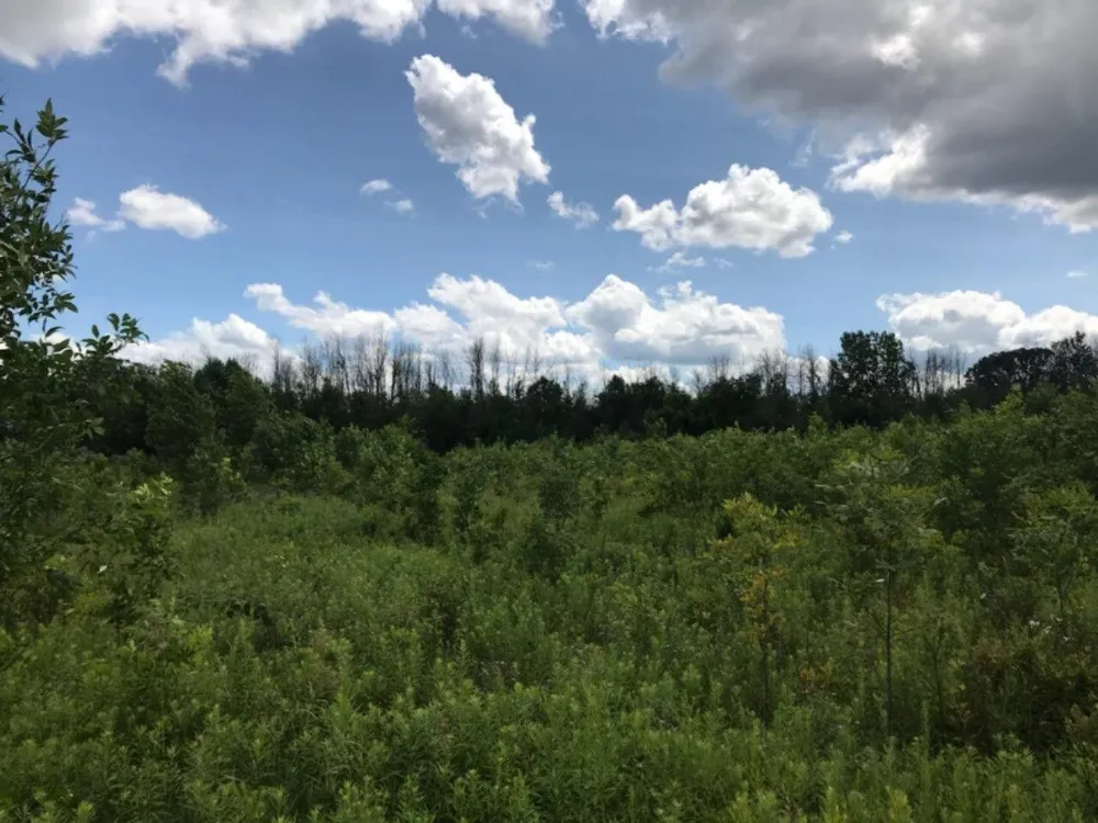 5312 18 Mile Road NE Cedar Springs, MI 49319