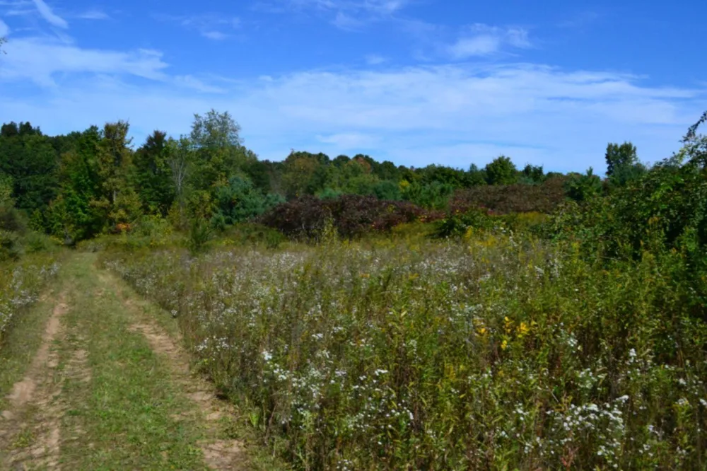 5312 18 Mile Road NE Cedar Springs, MI 49319