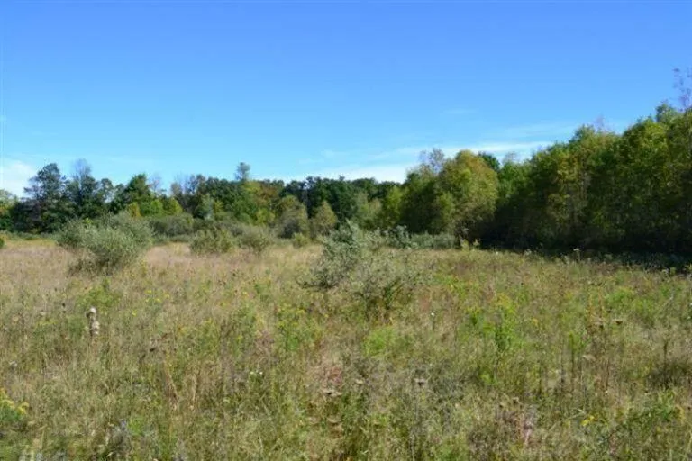 5312 18 Mile Road NE Cedar Springs, MI 49319