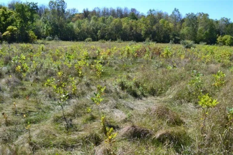 5312 18 Mile Road NE Cedar Springs, MI 49319