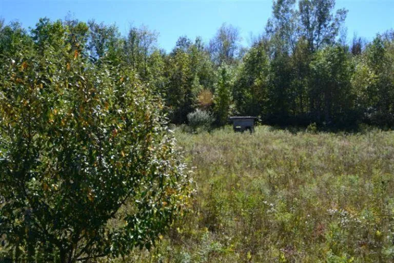 5312 18 Mile Road NE Cedar Springs, MI 49319