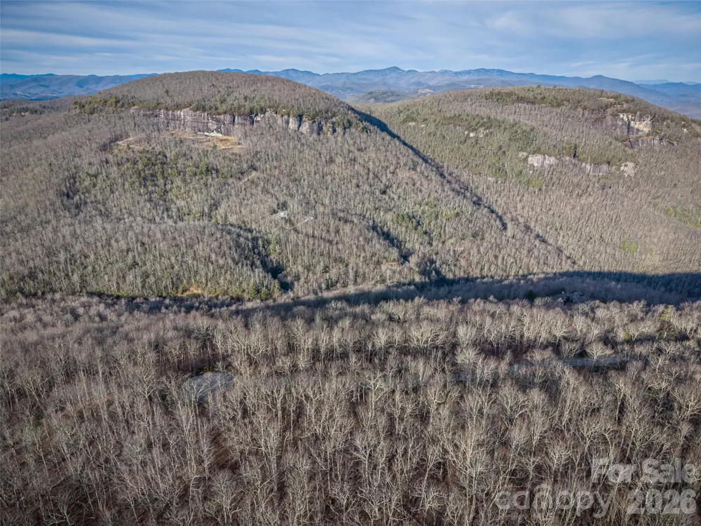 000 Meadow Ridge Drive #15 Lake Toxaway, NC 28747