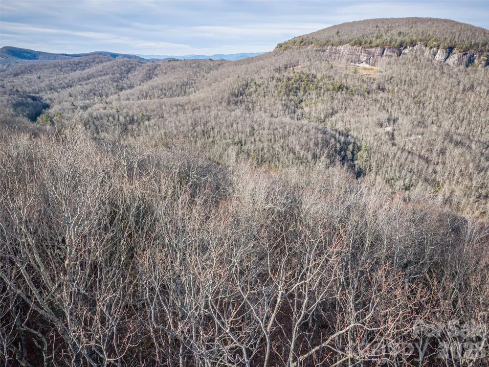 000 Meadow Ridge Drive #15 Lake Toxaway, NC 28747