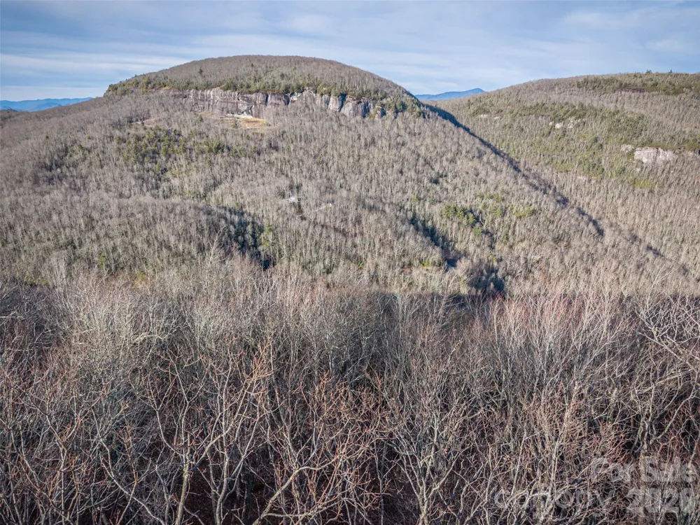000 Meadow Ridge Drive #15 Lake Toxaway, NC 28747