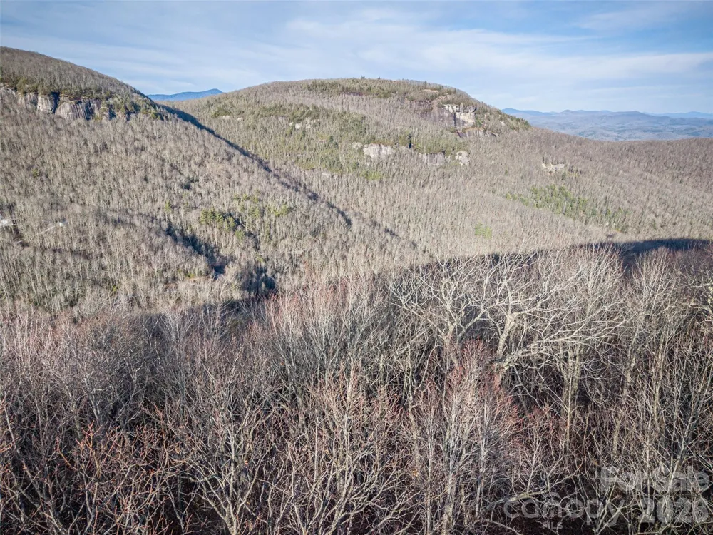 000 Meadow Ridge Drive #15 Lake Toxaway, NC 28747