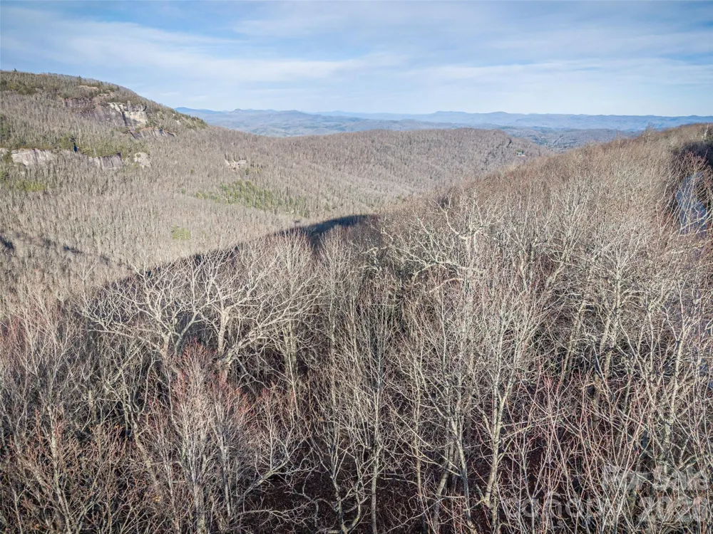 000 Meadow Ridge Drive #15 Lake Toxaway, NC 28747