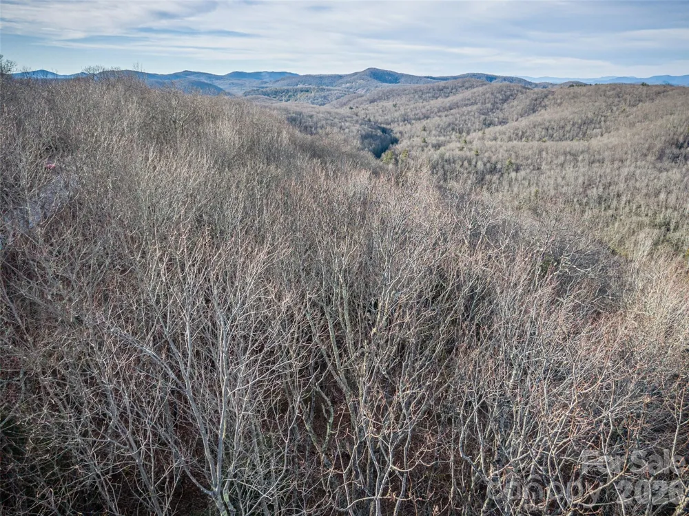 000 Meadow Ridge Drive #15 Lake Toxaway, NC 28747