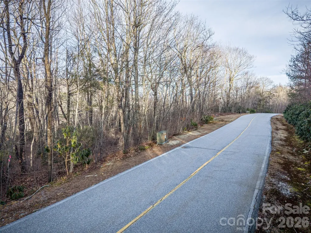 000 Meadow Ridge Drive #15 Lake Toxaway, NC 28747