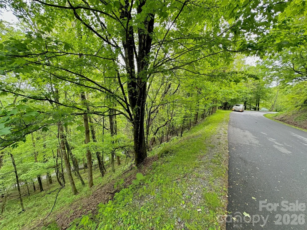 TBD Alpine Drive #33 Seven Devils, NC 28604