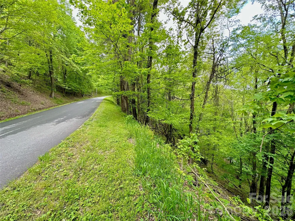 TBD Alpine Drive #33 Seven Devils, NC 28604