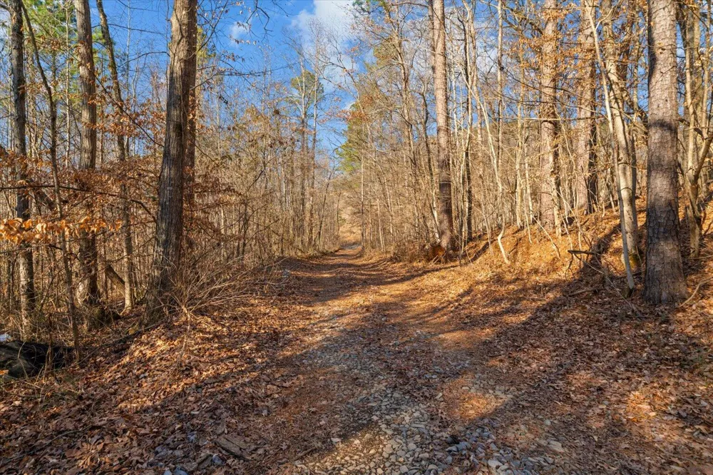 Cherokee Drive Dalton, GA 30721