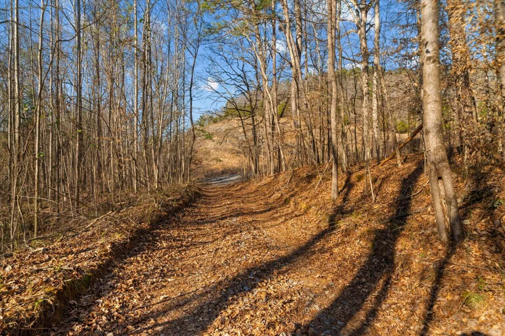 Cherokee Drive Dalton, GA 30721