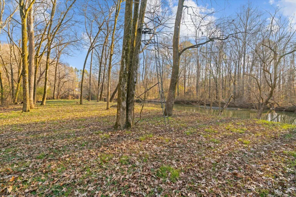 Cherokee Drive Dalton, GA 30721