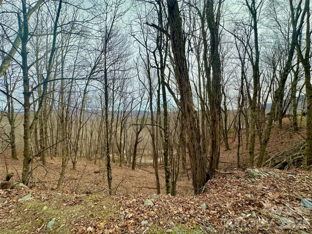 TBD Alpine Drive #21-22 Seven Devils, NC 28604