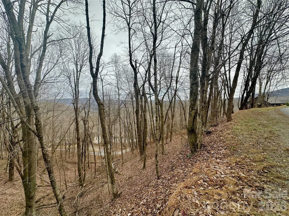 TBD Alpine Drive #21-22 Seven Devils, NC 28604