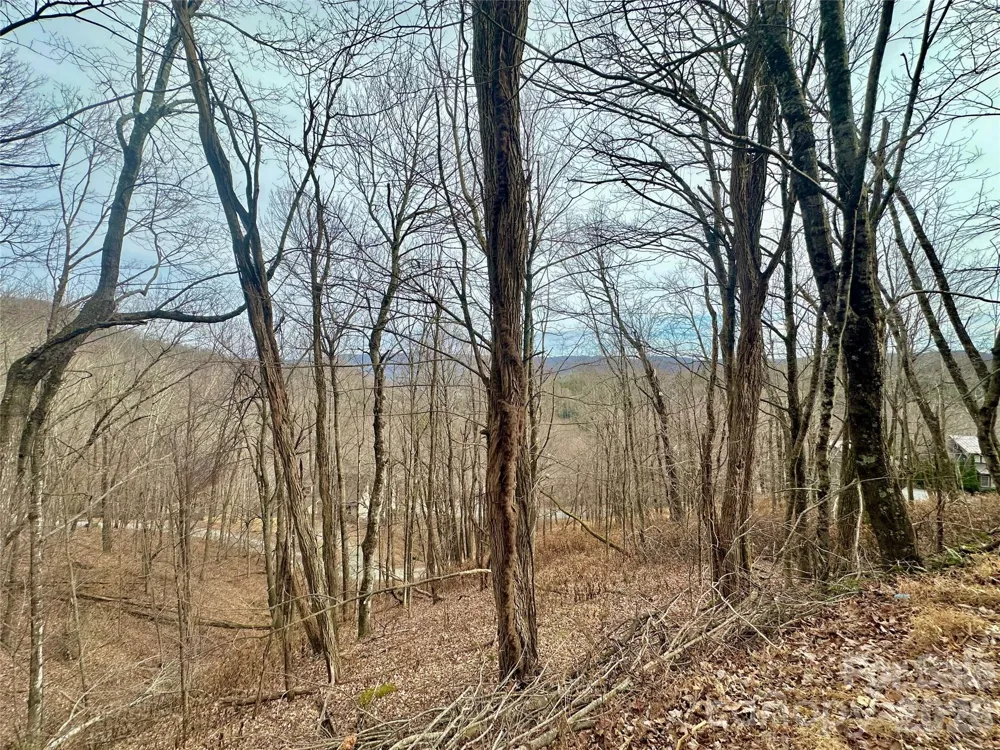 TBD Alpine Drive #21-22 Seven Devils, NC 28604