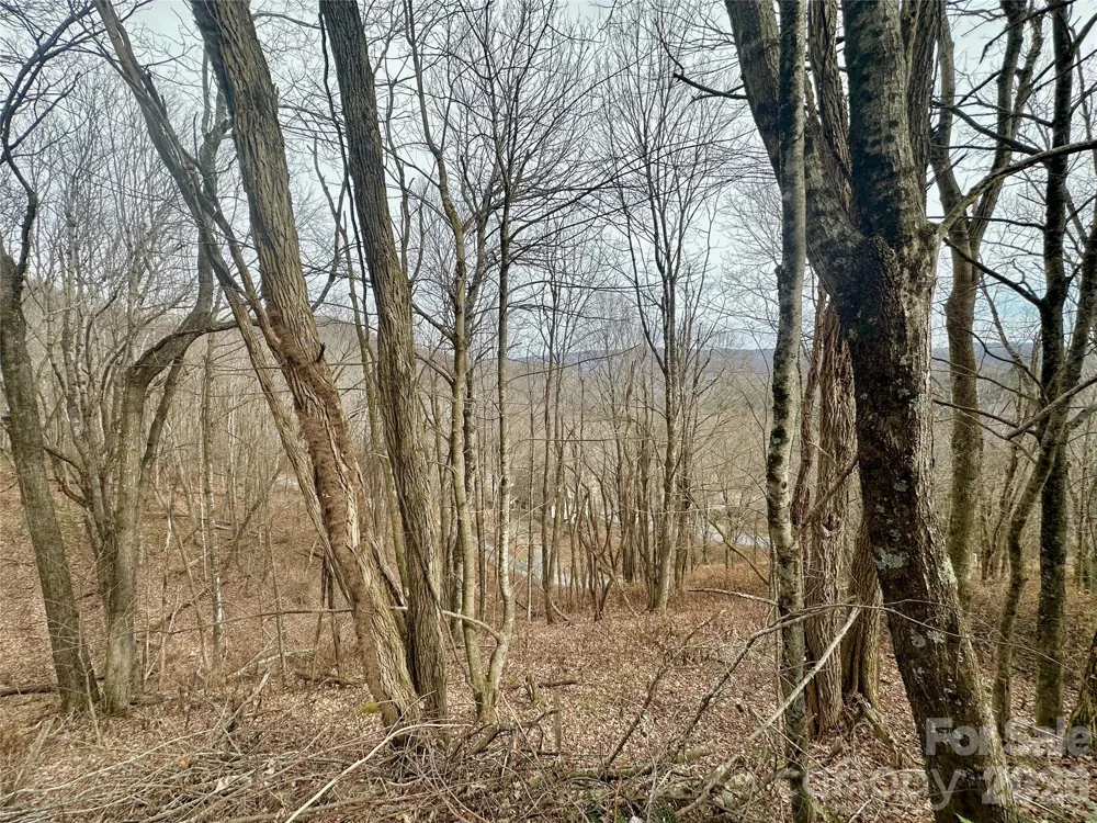 TBD Alpine Drive #21-22 Seven Devils, NC 28604