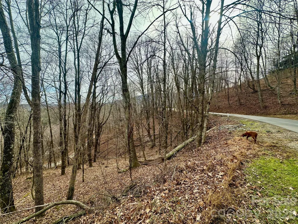 TBD Alpine Drive #21-22 Seven Devils, NC 28604