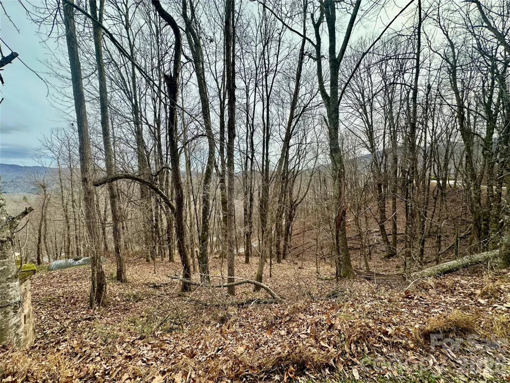 TBD Alpine Drive #21-22 Seven Devils, NC 28604
