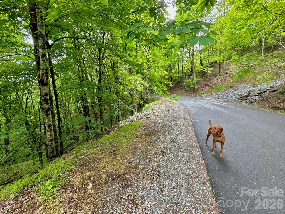 TBD Alpine Drive #21-22 Seven Devils, NC 28604
