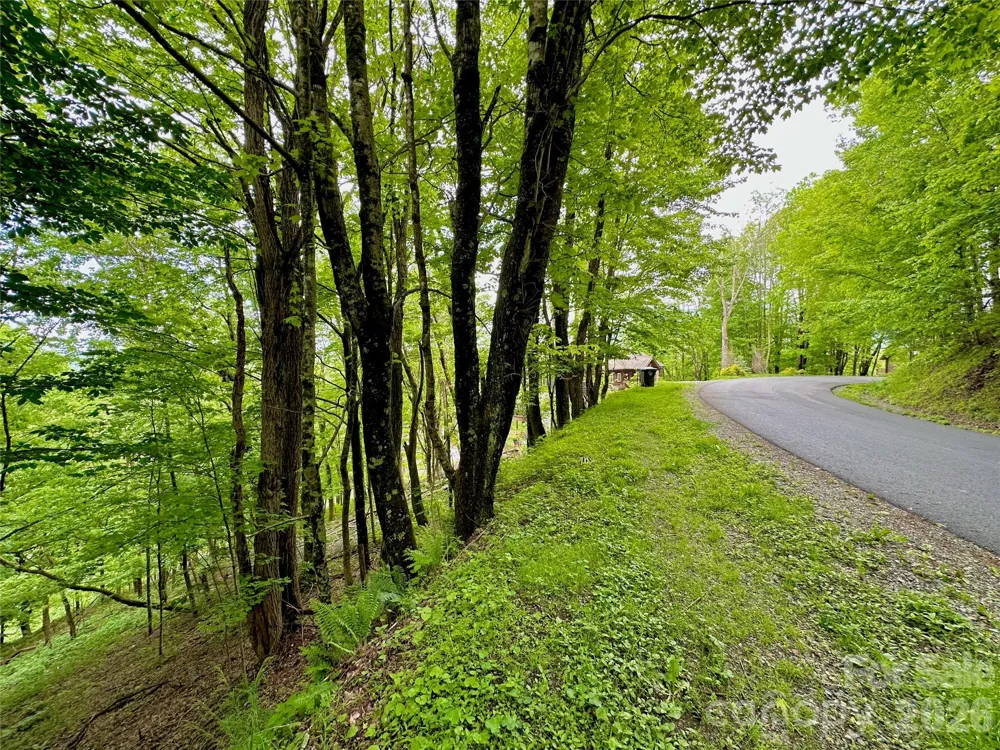 TBD Alpine Drive #21-22 Seven Devils, NC 28604