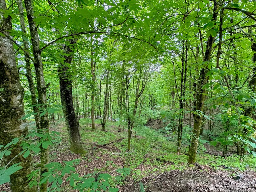 TBD Alpine Drive #21-22 Seven Devils, NC 28604