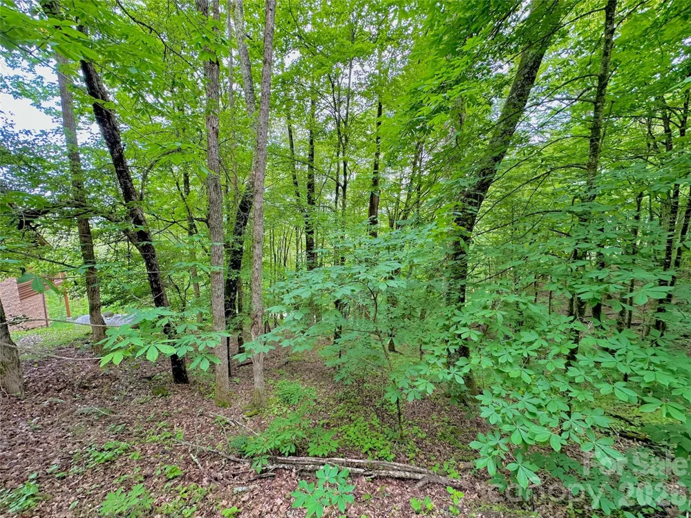 TBD Alpine Drive #21-22 Seven Devils, NC 28604