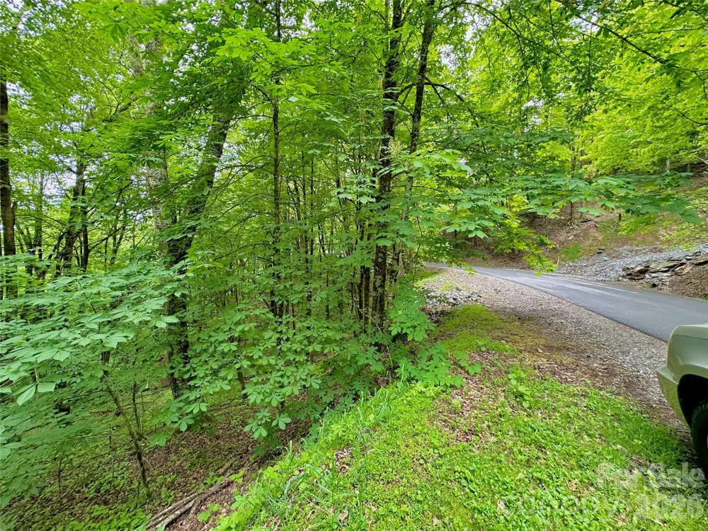 TBD Alpine Drive #21-22 Seven Devils, NC 28604