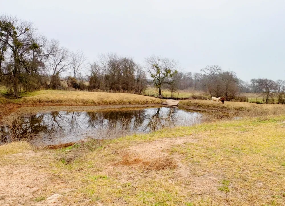 101 County Road 101 Marlin, TX 76661
