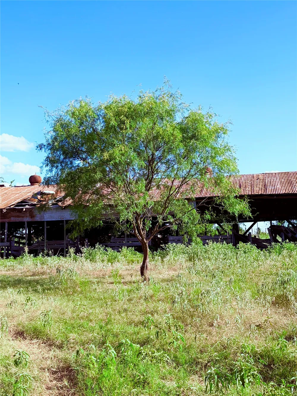 101 County Road 101 Marlin, TX 76661