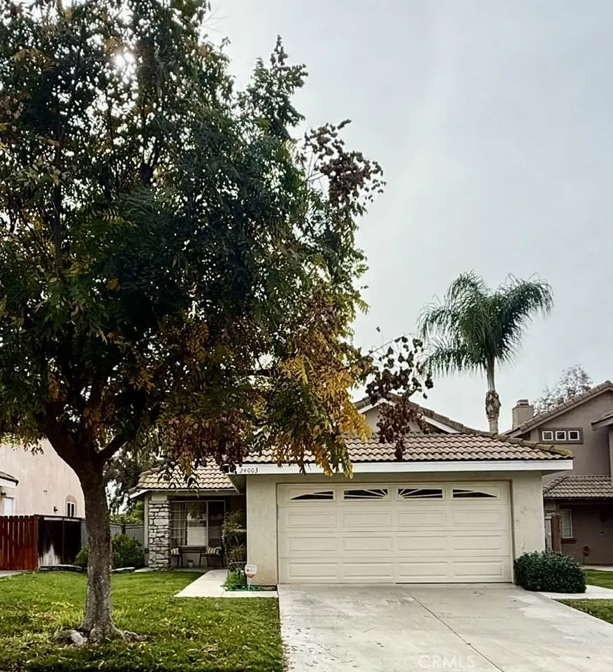 24003 Whistling Swan